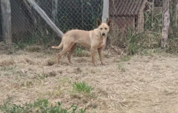 FRIDA E OLIVER - DUE FRATELLINI IN ATTESA DI UNA NUOVA VITA  | Foto 5