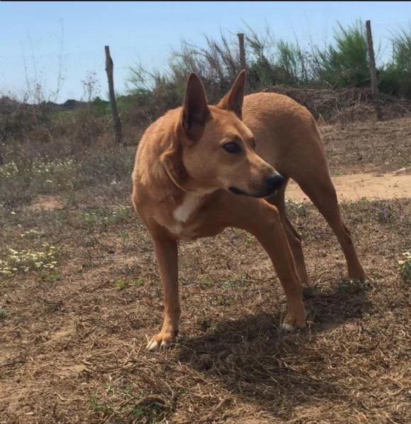 FRIDA E OLIVER - DUE FRATELLINI IN ATTESA DI UNA NUOVA VITA  | Foto 4