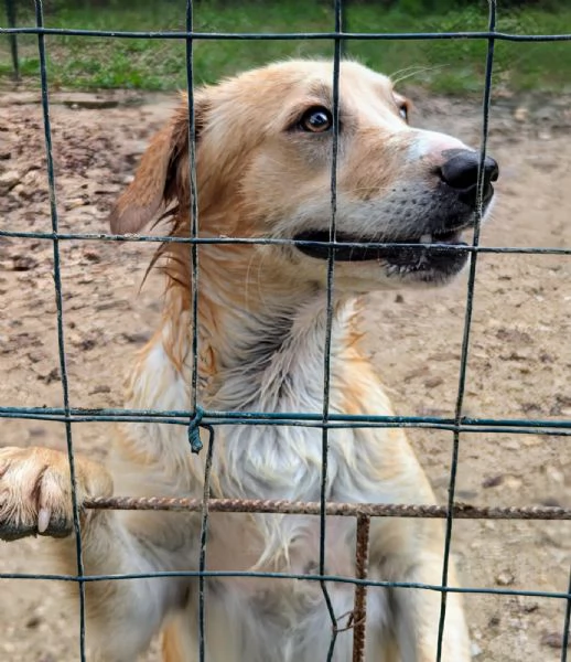 IL PICCOLO MILOS ASPETTA TE | Foto 0