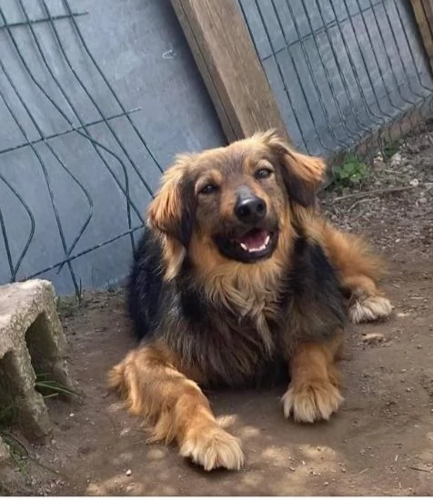 Fratello e sorella 4anni  tg media 3anni di appelli mai 1chiamata. napoli | Foto 6