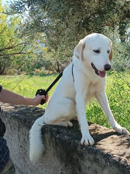 Fratello e sorella 3anni splendidi ma nessuno li nota! CALABRIA