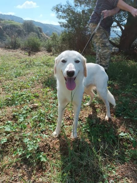 Fratello e sorella 3anni splendidi ma nessuno li nota! CALABRIA | Foto 1