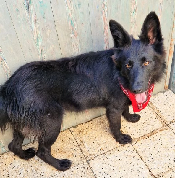 Cara mamma,anch'io ho un cuore uguale agli altri... | Foto 0