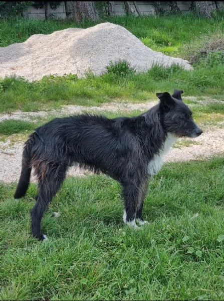 paky cerca casa! | Foto 0