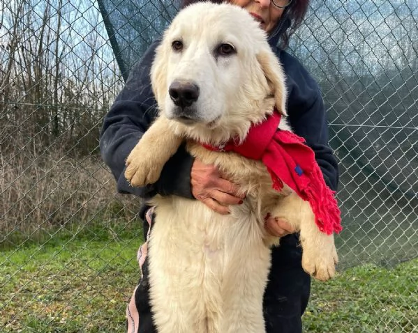 IL SORRISO DI LUCKY