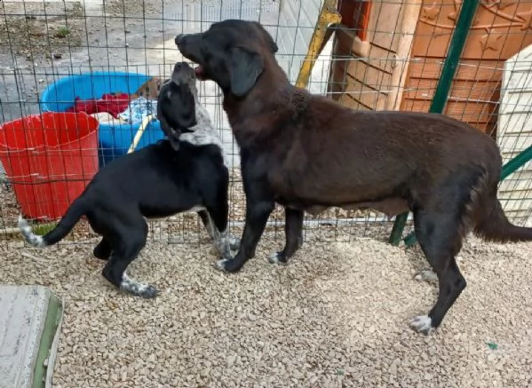 mamma e figlio dolcissimi | Foto 3