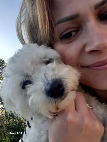 Cucciolo Maltese maschio e femmina taglia piccola  | Foto 0