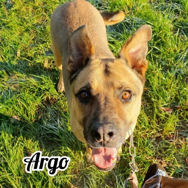  Argo, simil Pit