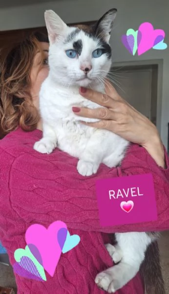 Ravel 4 anni, il cielo negli occhi | Foto 2