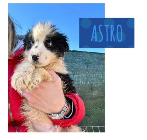 Astro 