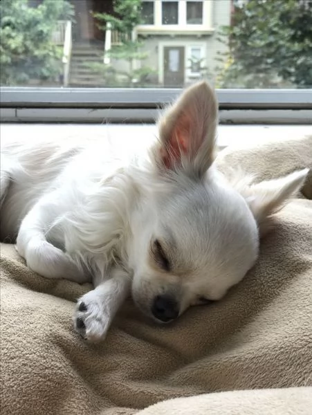 awww, un bambino così dolce! ❤️❤️ | Foto 3