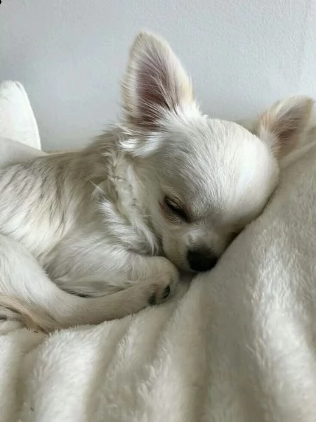 awww, un bambino così dolce! ❤️❤️ | Foto 2