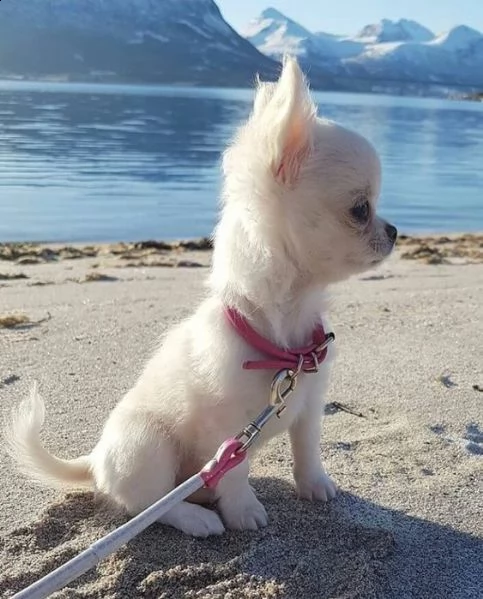 awww, un bambino così dolce! ❤️❤️ | Foto 1