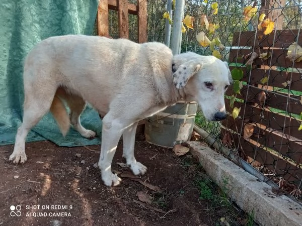 MONIA 20 KG DI BELLEZZA | Foto 3