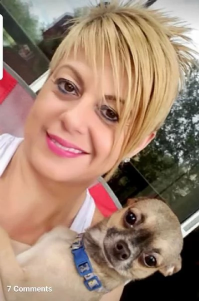 cuccioli di chihuahua carini e giocherelloni disposti a venire a casa tua cuccioli di chihuahua cari