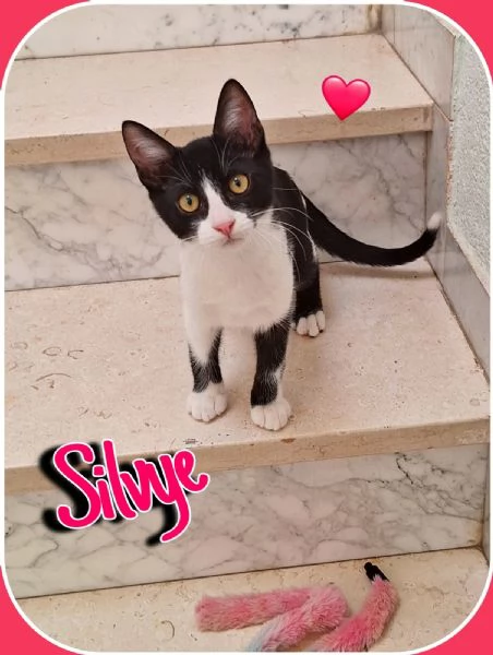 Sylvie: silvestrina tutto pepe  | Foto 4