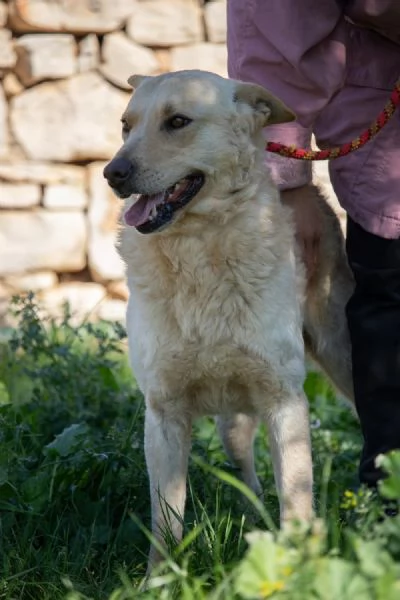 Uno sguardo d'amore:RICKY 