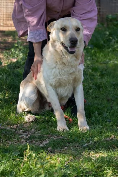 Uno sguardo d'amore:RICKY  | Foto 6