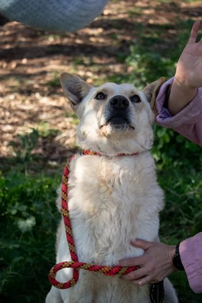 Uno sguardo d'amore:RICKY  | Foto 4