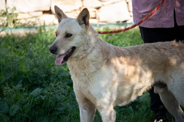 Uno sguardo d'amore:RICKY  | Foto 1