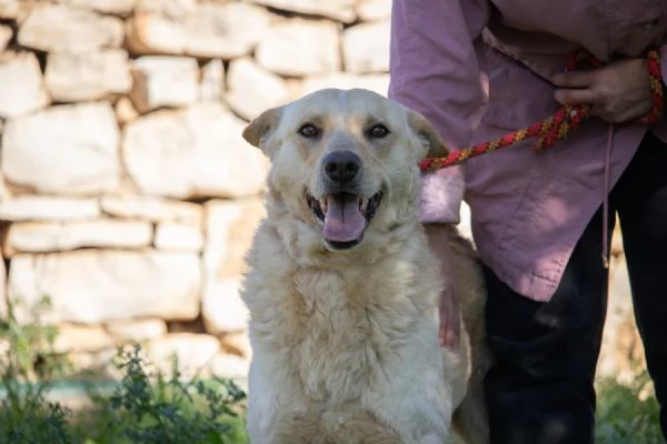 Uno sguardo d'amore:RICKY  | Foto 0