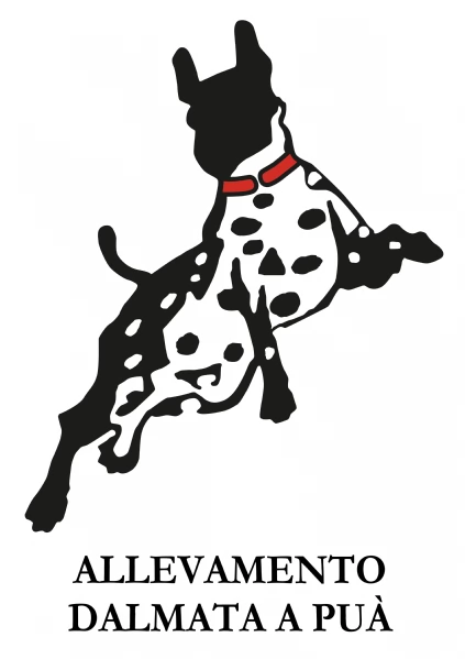 CUCCIOLI DALMATA con PEDIGREE | Foto 1