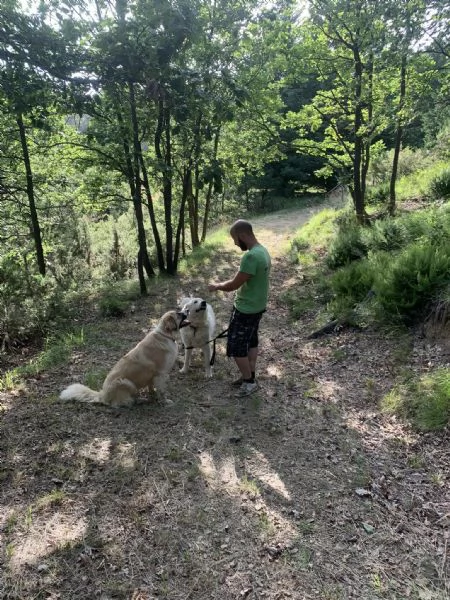 BENNY E BAILEY CERCANO FAMIGLIA | Foto 1