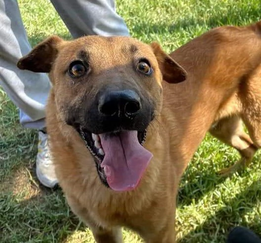 Otto, il cucciolotto