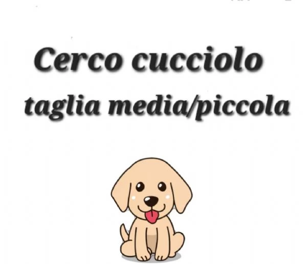 CERCO cucciolo taglia media/piccola